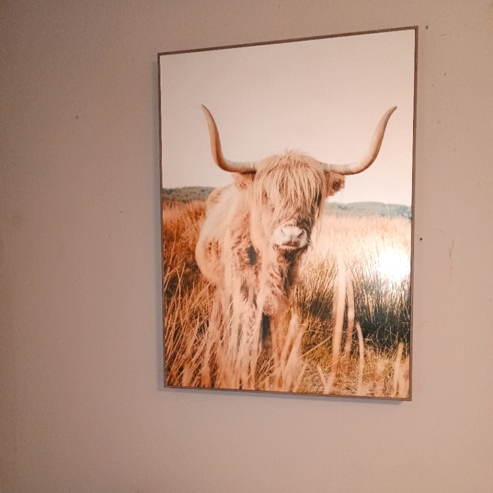 Highland cow decor